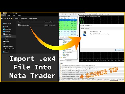 EA (Expert Advisor) ex4 파일을 Meta Trader로 가져 오는 방법