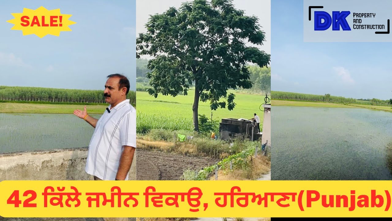 🤩42 ਕਿੱਲੇ ਜਮੀਨ ਵਿਕਾਉ - ਹਰਿਆਣਾ । 42 acre land for sale in Hariyana Hoshiarpur | DKPAC