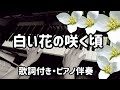 「白い花の咲く頃」をグランドピアノで弾きました♪