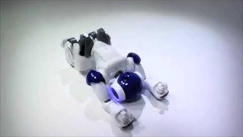 sampling robot variation video with music only.