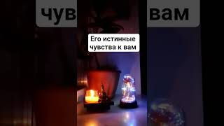 Его истинные чувства 💖 #таро #tarot #егочувства #любовь #семья #отношения