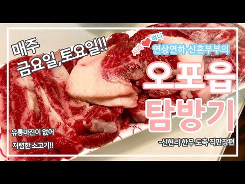 신현리 맛집