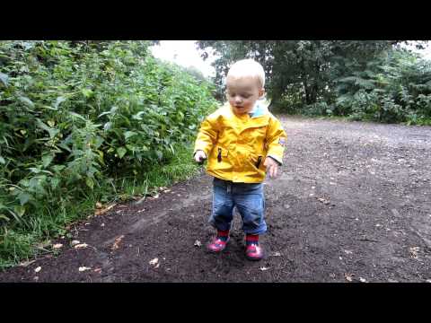 Archie and the stinging nettles