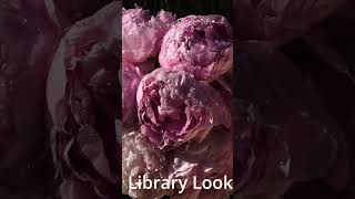 Shorts: shower-bunch-pink-peonies