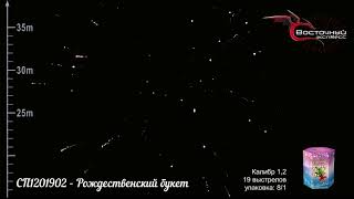 СП1201902 Рождественский букет