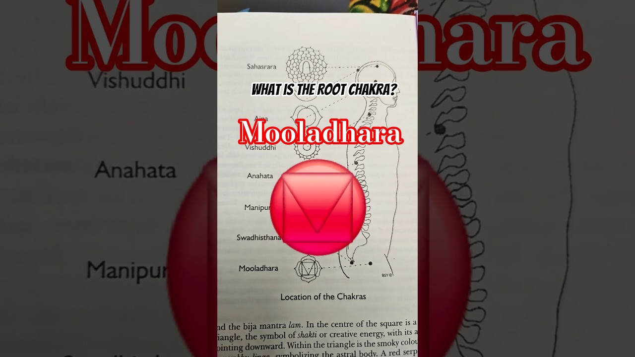 Getting to know the Yogic Body 