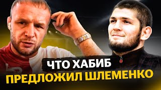 Хабиб ПООБЕЩАЛ Шлеменко UFC? / КАВКАЗСКАЯ школа против школы СИБИРИ: Шлеменко vs Гусейнов