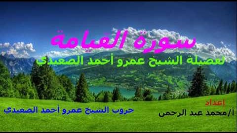 سورة القيامة للشيخ عمرو أحمد الصعيدي
