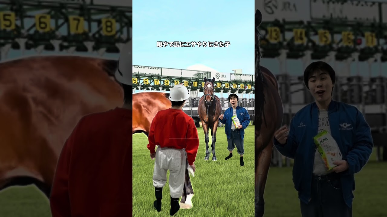 もうすぐ競馬なのに
