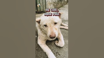 Cho đến khi em ấy cười...