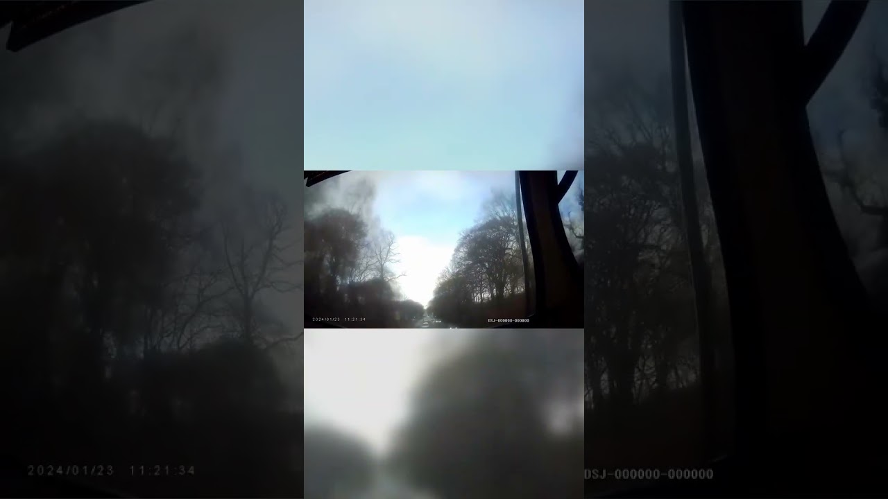 Fog couldn't stop me from catching this 