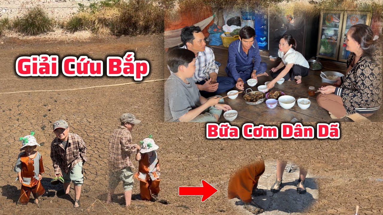 Bữa Cơm Rộn Rã Tiếng Cười Cùng Gia Đình Cô Chủ Nhỏ - Tài Tí Tẹo Giải Cứu Bé Bắp Và Cái Kết Bất Lực 