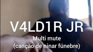 Vídeo de Multi Mute