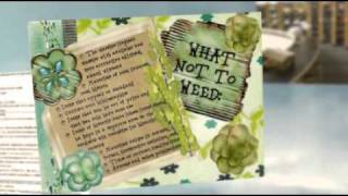 Weeding Policy - Group 4