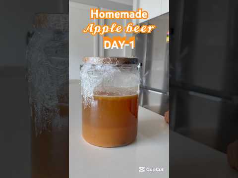 Shorts Telugu Trending Australiatelugu Beermaking Beer Apple Homemade Viralshorts Love 