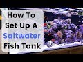 Ultimate Guide to Setting Up Your Saltwater Fish Tank 🌊