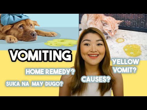 Video: OK lang bang mamitas ng mga balahibo?