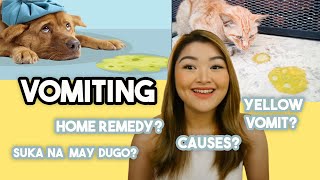 NAGSUSUKA NA ALAGA: Bakit? Home Remedy? Yellow vomit?  | Arah Virtucio