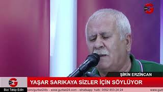 Yaşar Sarıkaya - Oğul ne haber (Uzun Hava) Resimi