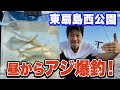 【東扇島西公園】誰でも簡単にアジが釣れる遠投サビキ釣り！アジの泳がせ釣りも一瞬でヒット