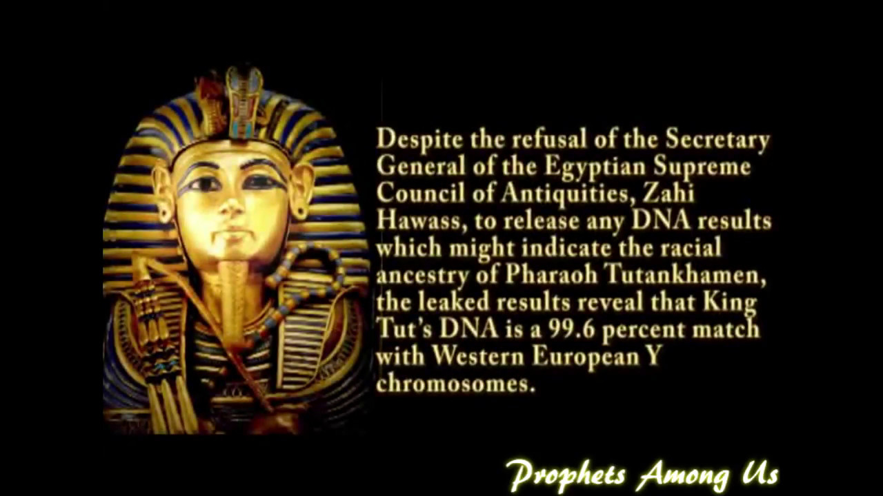 The Truth About Ancient Egyptian Royalty & King Tut's DNA Results YouTube