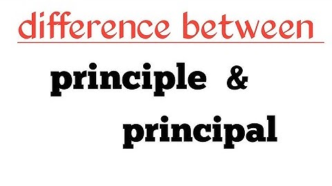 difference between principle and principal
