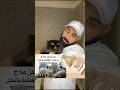 علاج البراغيث بالخل #cat #قطط #قططمضحكه #تربية_القطط #اكسبلور #قطتي #طعام_القطط #catlover #بزونه