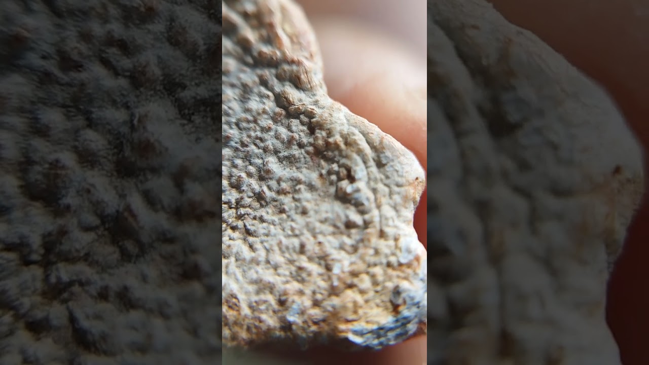 พระท่ากระดาน  กรุเขาฤๅษี ทุ่งใหญ่นเรศวร (กรุใหม่)