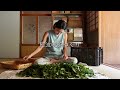 乳酸菌発酵茶【阿波晩茶】づくり