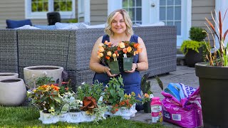 Summer Container Ideas & Combinations! Planting Summer Annual Pots & Decorating the Patio.