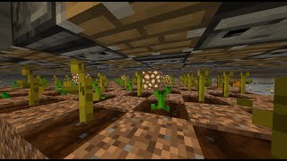 Melon And Pumpkin Farm! | Minecraft Season 15 Episode 1