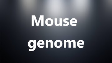 Mouse genome - Medical Definition and Pronunciation