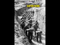 Forced Labor in World War II #survivalstory #history
