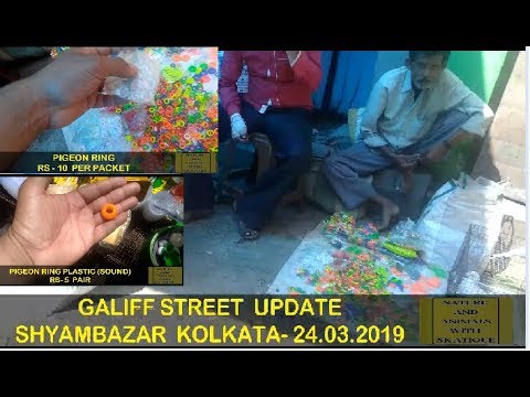 #naturephotoday PIGEON RING|Galiff Street Kolkata Animal Market|24 March 2019|Kolkata