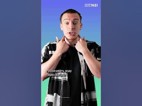 Как спят акулы? | shorts - YouTube