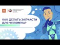 Что можно заменить в человеческом теле? / ПостНаука