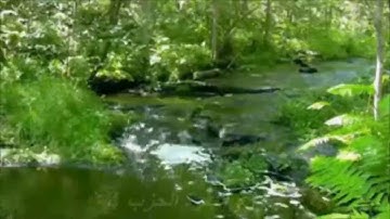 حزب 4 سورة البقرة للمقرئ المغربي مصطفى أمنشار حفظه الله