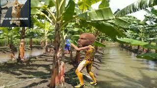 Download Lagu Salam dari Binjai versi Saitama botak||FF||skill tingkat planet mars MP3 Download Lagu Salam dari Binjai versi Saitama botak||FF||skill tingkat planet mars MP3
