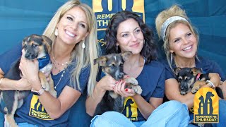 Honor shelter pets on Remember Me Thursday® with Runaway June by Helen Woodward Animal Center 102 views 7 months ago 46 seconds