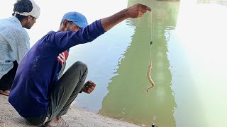 FISH CATCHING VIDEOS || BAAM FISH VIDEOS ON YOUTUBE | EIL AWESOME FISHING