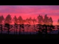 【癒し・ヒーリングBGM】懐かしい童謡が心を落ち着かせるリラックスギター曲集01(1時間)