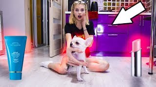 МОЯ СОБАКА УПРАВЛЯЕТ МОИМ МАКИЯЖЕМ! // Дина Мирная МОЯ СОБАКА УПРАВЛЯЕТ МОИМ МАКИЯЖЕМ! // Дина Мирная