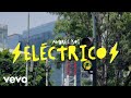 Andrs koi  elctrico oficial