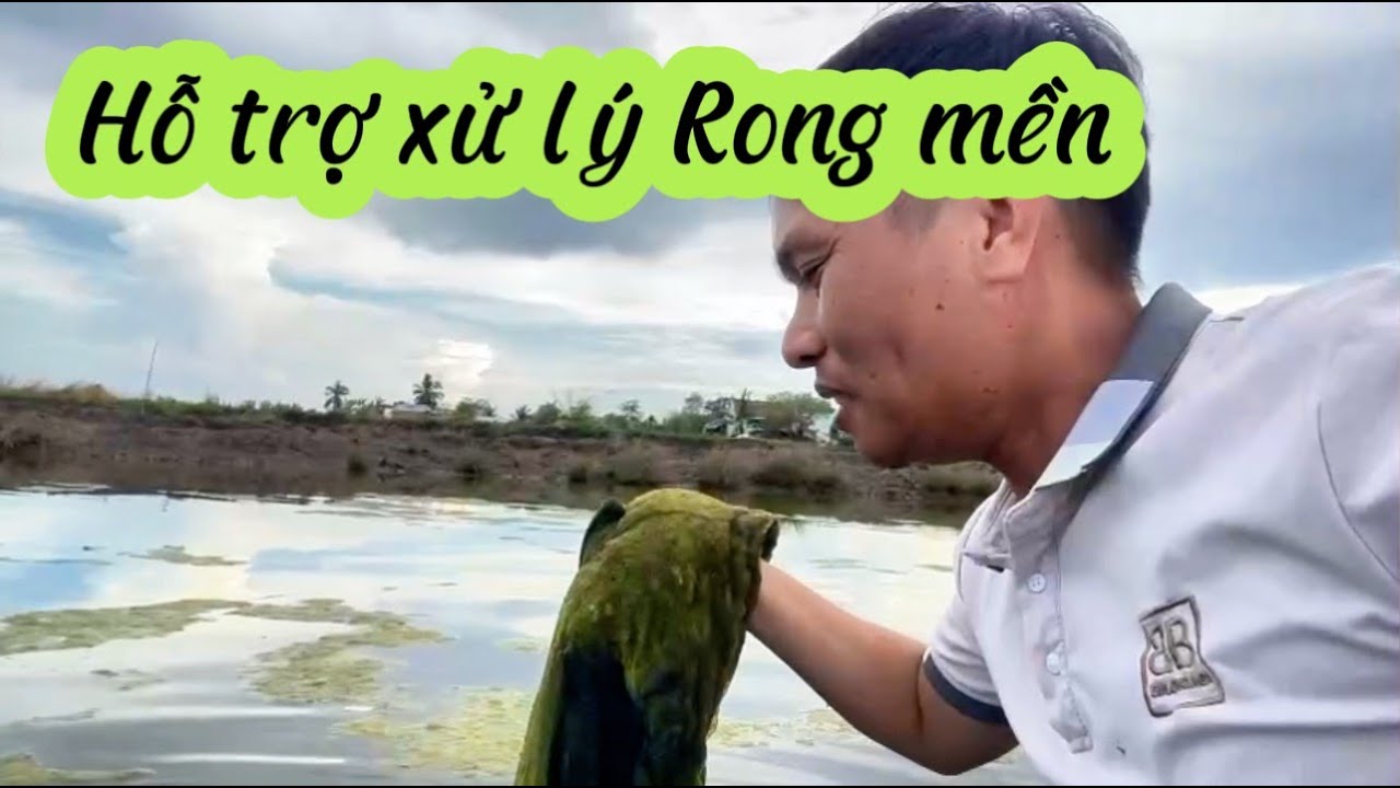 Rong Rind Sử dụng thuốc