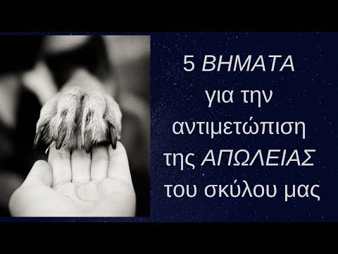 Τα 5 στάδια για την αντιμετώπιση της απώλειας του σκύλου μας