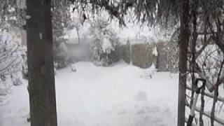 Two Snowstorms Feb 2010