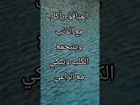 المنافق يأكل مع الذئب و ينبح مع الكلب و يبكي مع الراعي