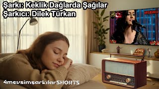 Dilek Türkan 'Keklik Dağlarda Şağılar' | #4mevsimşarkılarShorts #DikeyVideolar #radyo #DilekTürkan