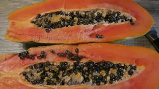 What Does Papaya Taste Like * How To Eat A Papaya Papaya Fruit Taste