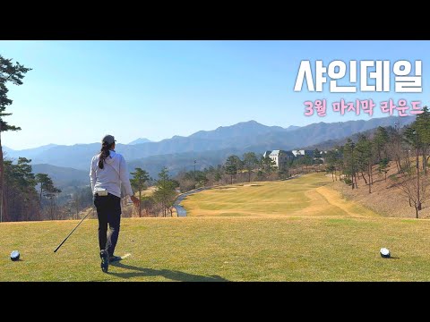 미리보기 이미지